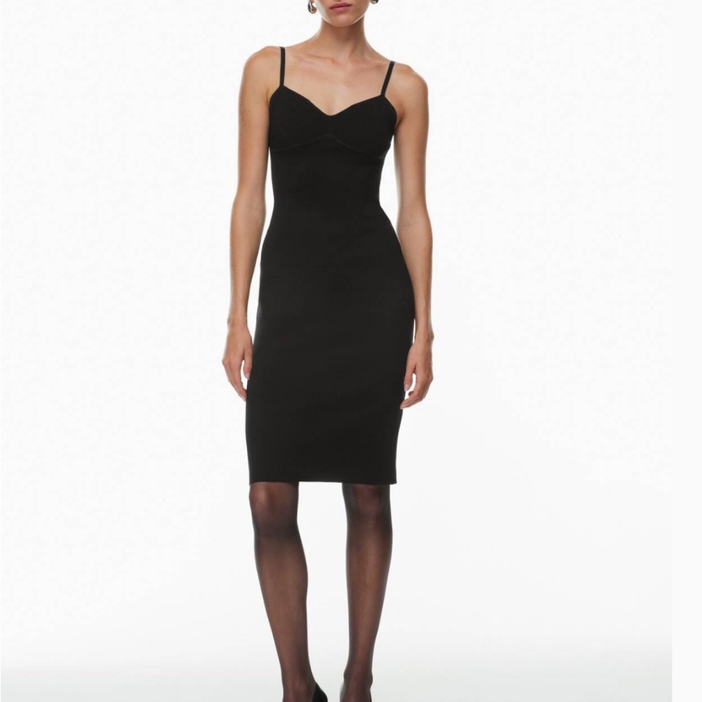 Aritzia Babaton Lariat Dress
